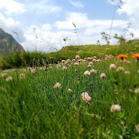 Διαμέρισμα Waldhof