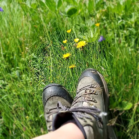 Waldhof Διαμέρισμα