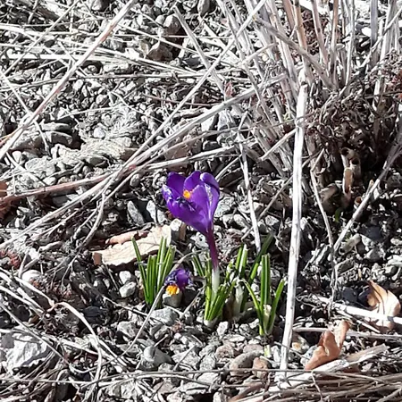 Διαμέρισμα Waldhof *