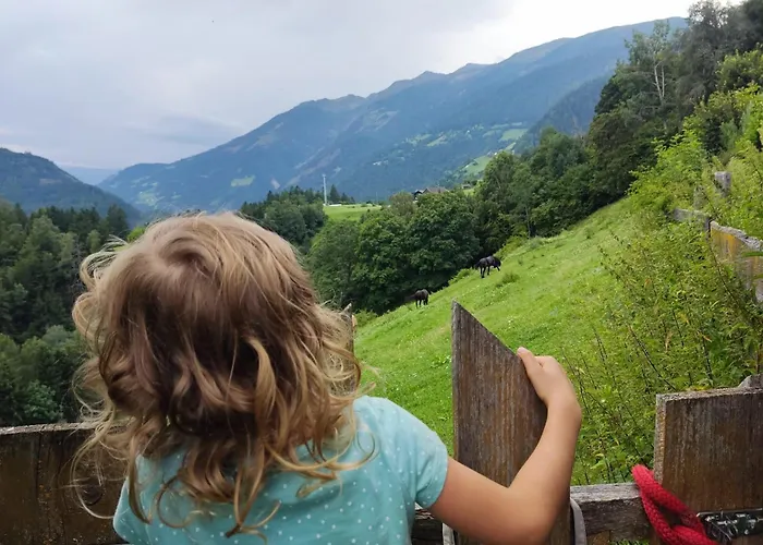 Appartement Waldhof *