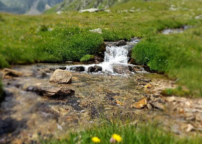 Waldhof Appartement Flattach