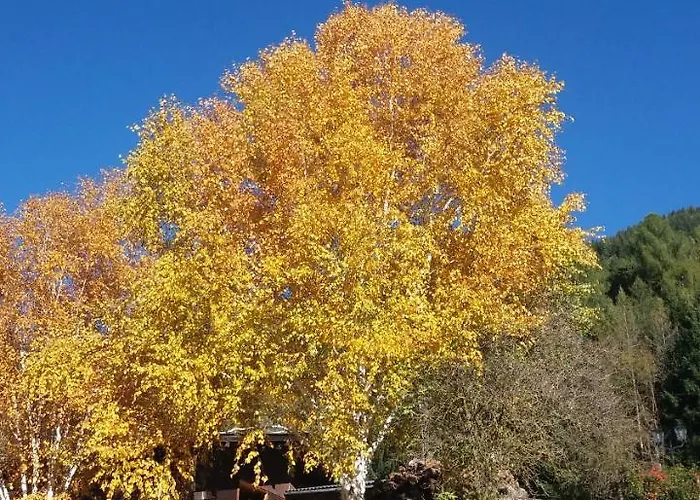 Appartement Waldhof Flattach